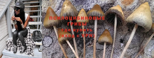 дживик Горнозаводск
